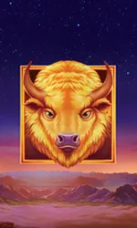 Buffalo's Sun 2