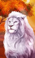 Book Of Majestic King